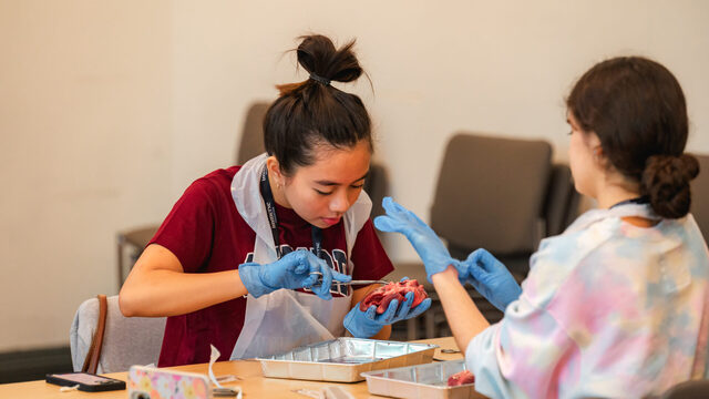 8 Ide Proyek Penelitian Kedokteran yang Bisa Dicoba Mahasiswa